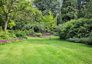 Optimiser l'expérience du jardin à Mereaucourt